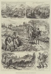 Skizzen in der Nähe von Leadville, Colorado